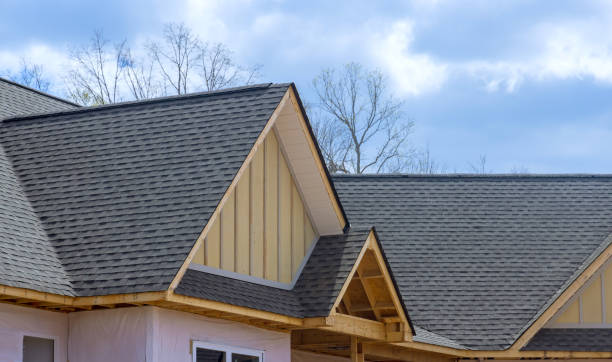 Best Asphalt Shingles Roofing  in Dundee, NY